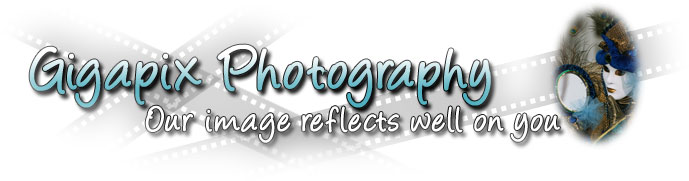 Gigapix logo